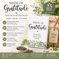 Seeds of Gratitude Gift, 25 Pack Seed Packets, Teacher Appreciation Gifts