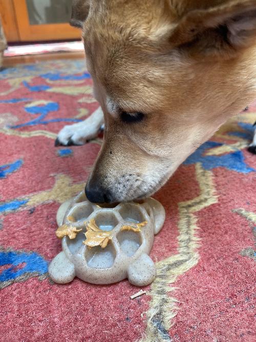 Turtle Nylon Chew Toy - Ultra-Durable Enrichment Toy for Power Chewers USA