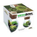 MossBowl- Grow Your Own Beautiful Moss Garden, Complete Kit Come with 3 Mosses!