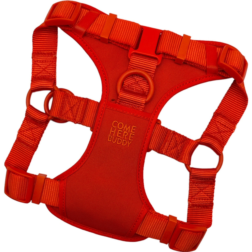 Step In Dog Harness