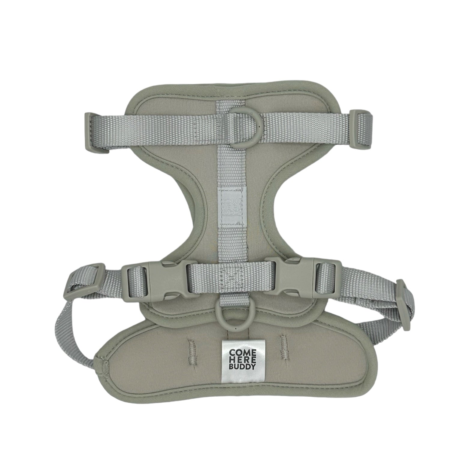 Harness