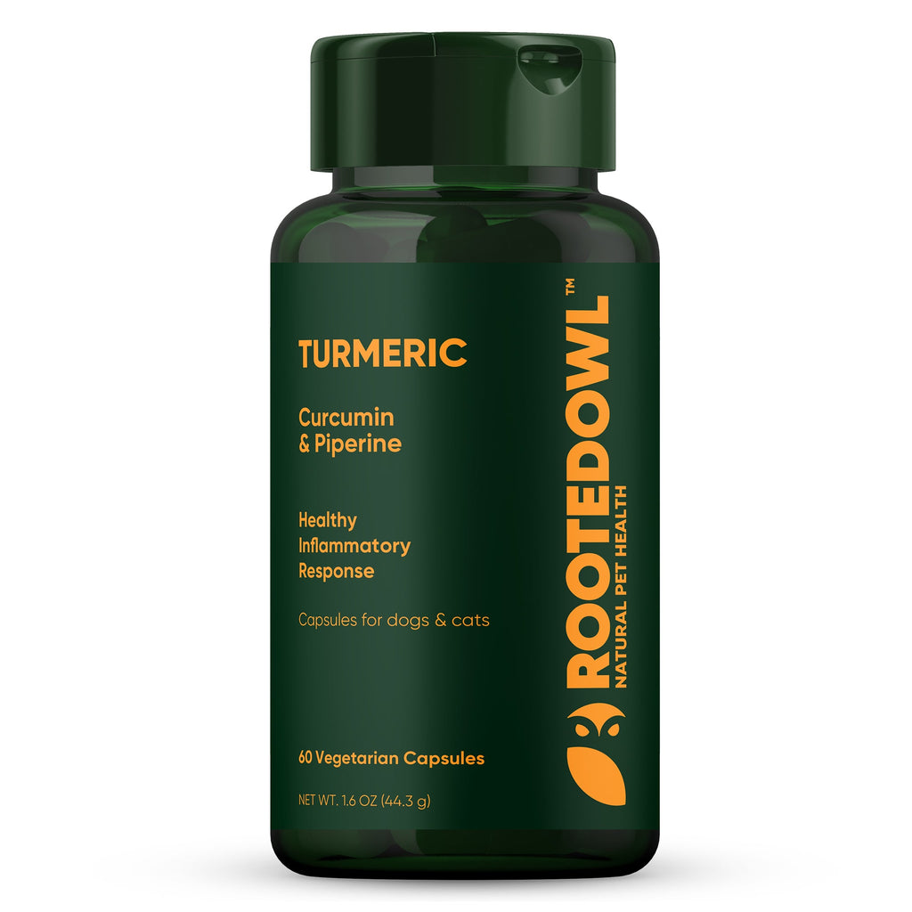 Turmeric