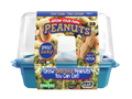 Grow Your Own Peanuts Sprouter Terrarium