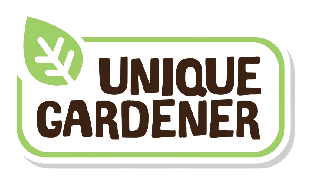 Grow Your Own Peanuts Sprouter Terrarium