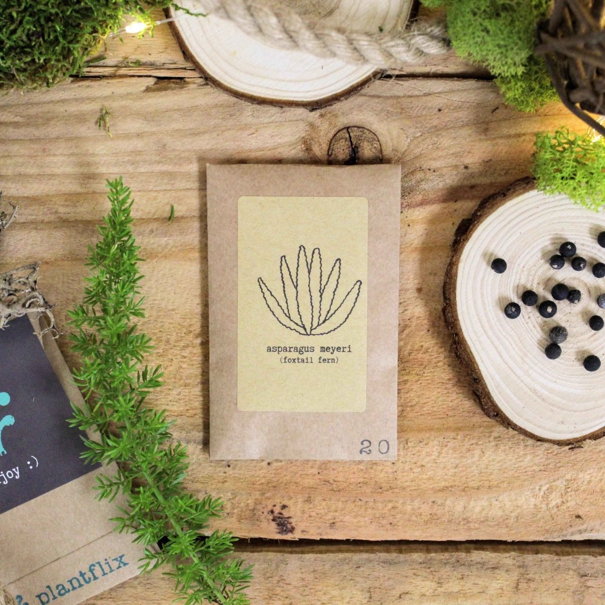 Asparagus Meyeri 'Foxtail Fern' Seeds