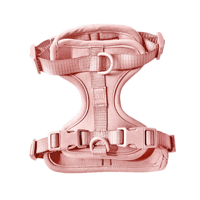 Harness