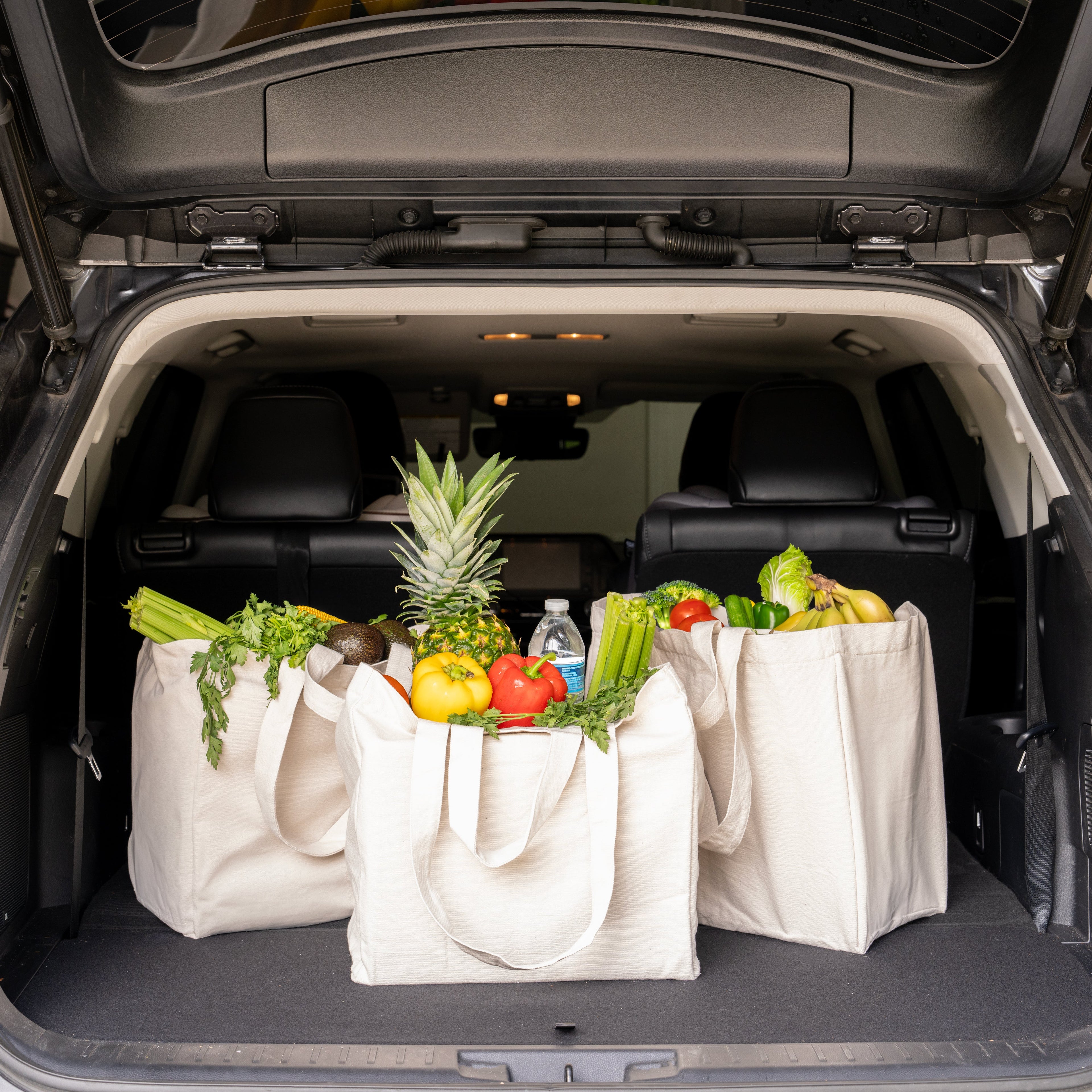Cotton Canvas Jumbo Tote Bag Recycle for Groceries