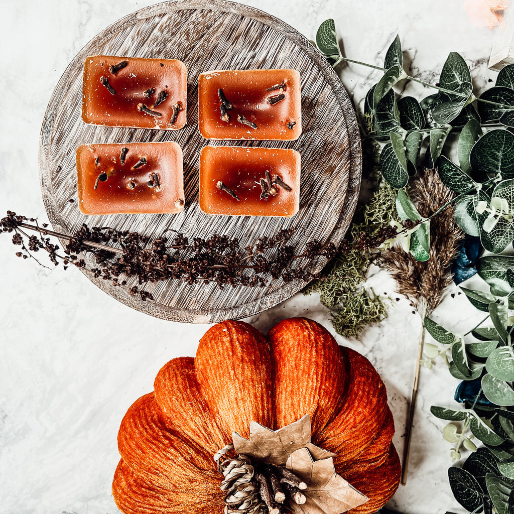 Fall Clove XL Natural Wax Melts 4 Cubes Spicy Cinnamon Clove Autumn Scent