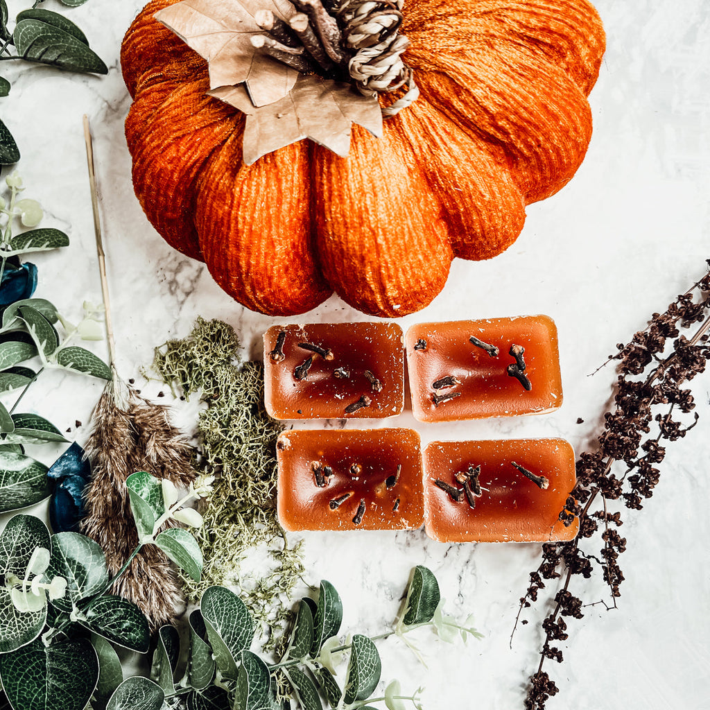 Fall Clove XL Natural Wax Melts 4 Cubes Spicy Cinnamon Clove Autumn Scent