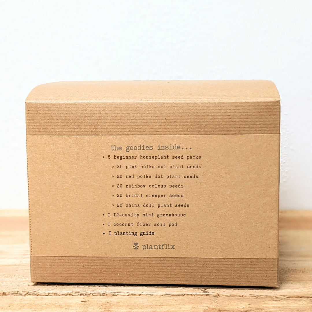 "Grow an Indoor Jungle" Houseplant Seed Kit