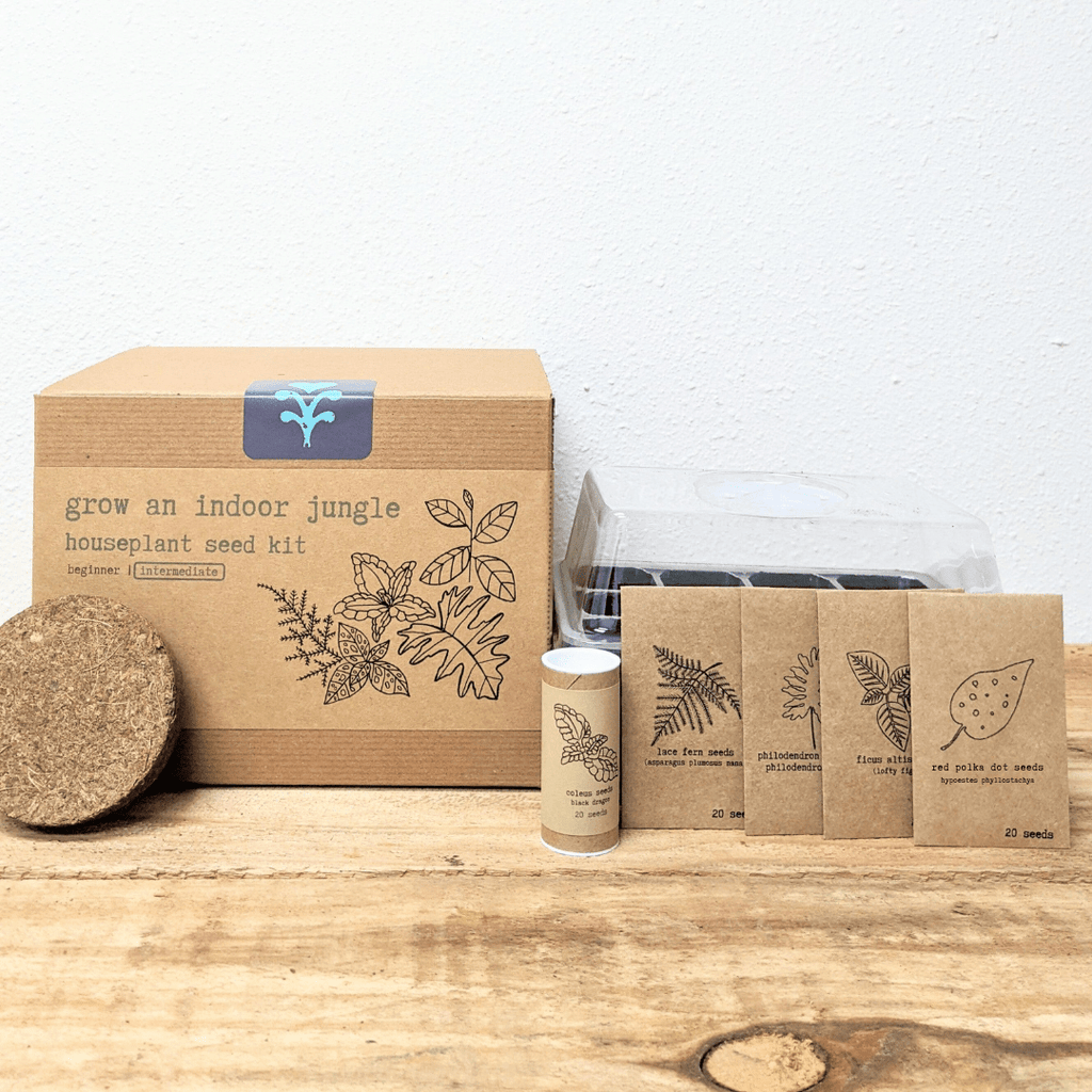 "Grow an Indoor Jungle" Houseplant Seed Kit
