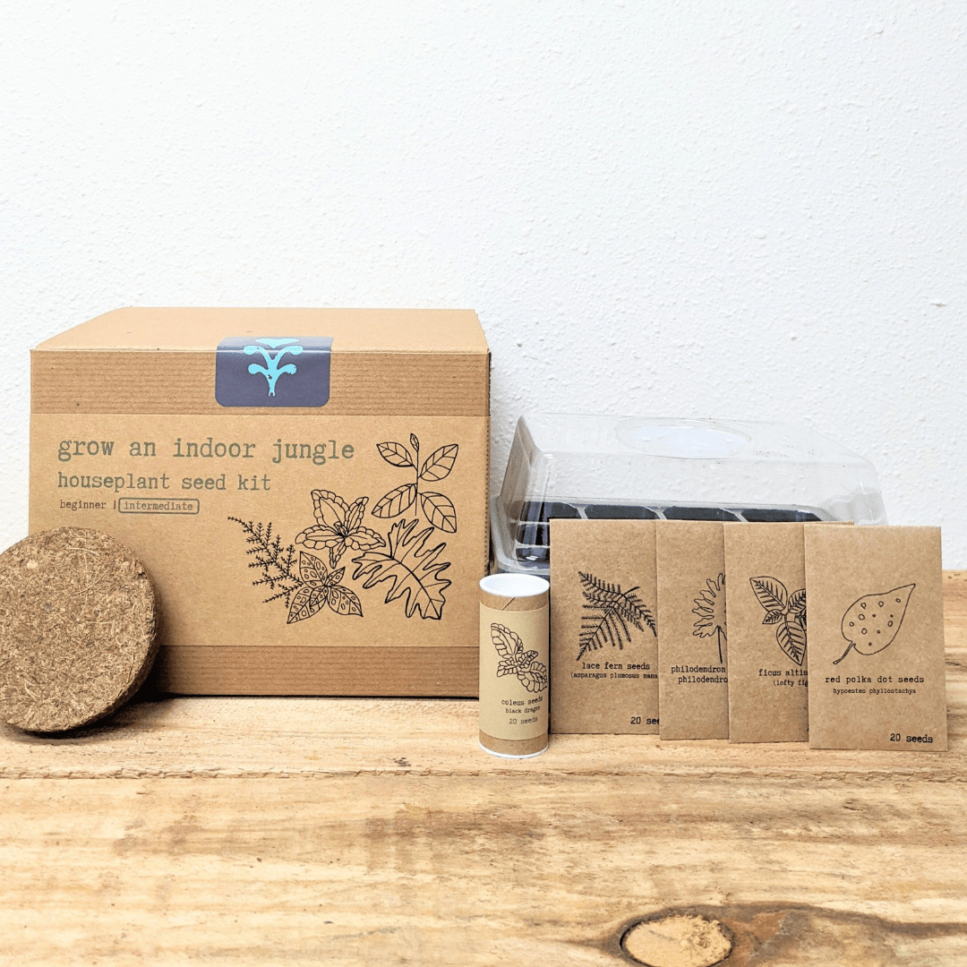 "Grow an Indoor Jungle" Houseplant Seed Kit