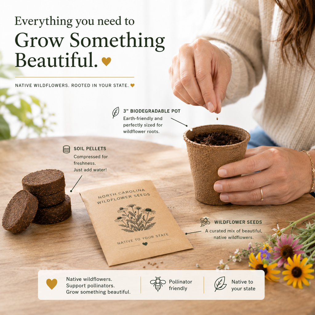 South Carolina Black-Eyed Susan Grow Kit