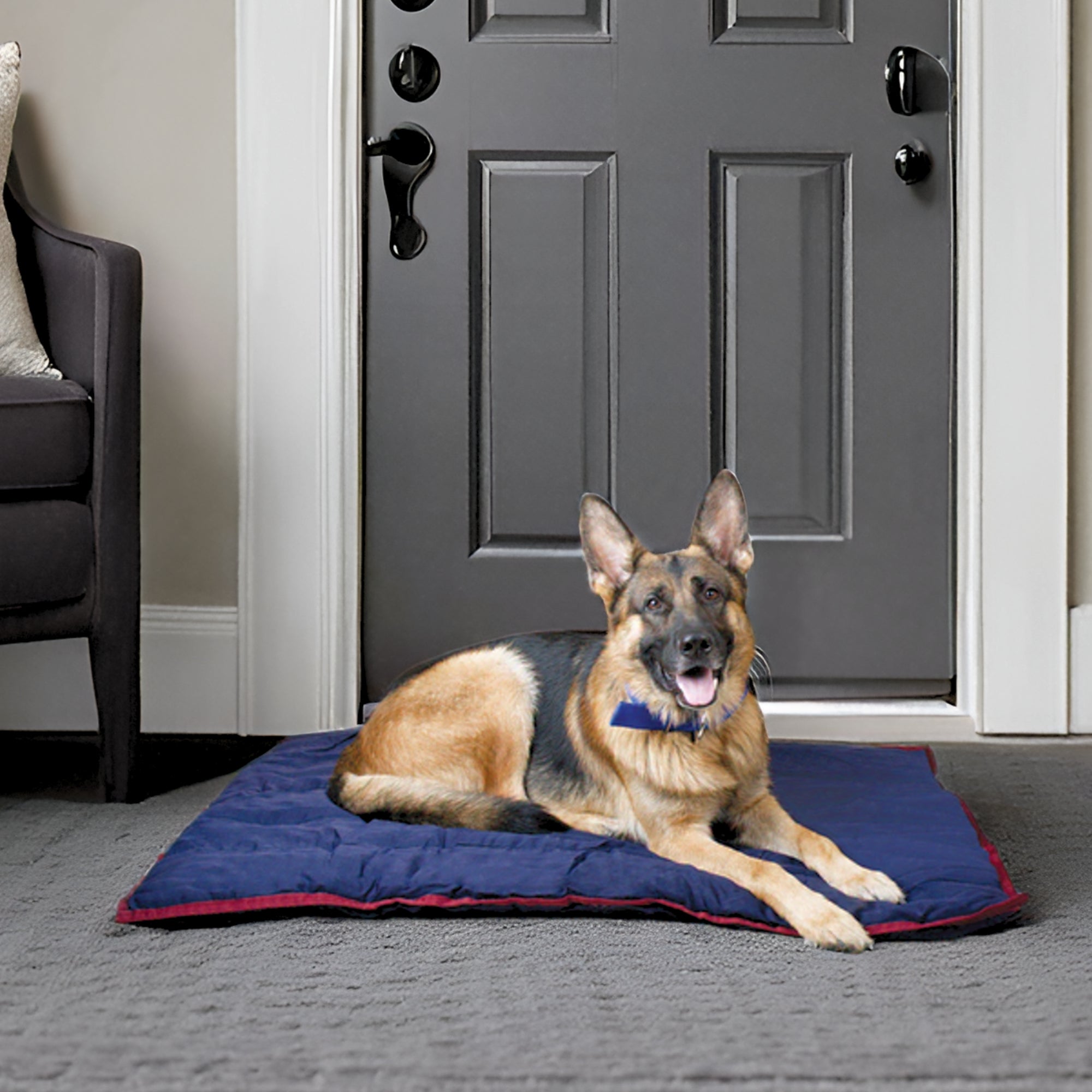 Jeffers Pet Washable Comfy Dog Pillow for Crates, Carriers, or Lounging