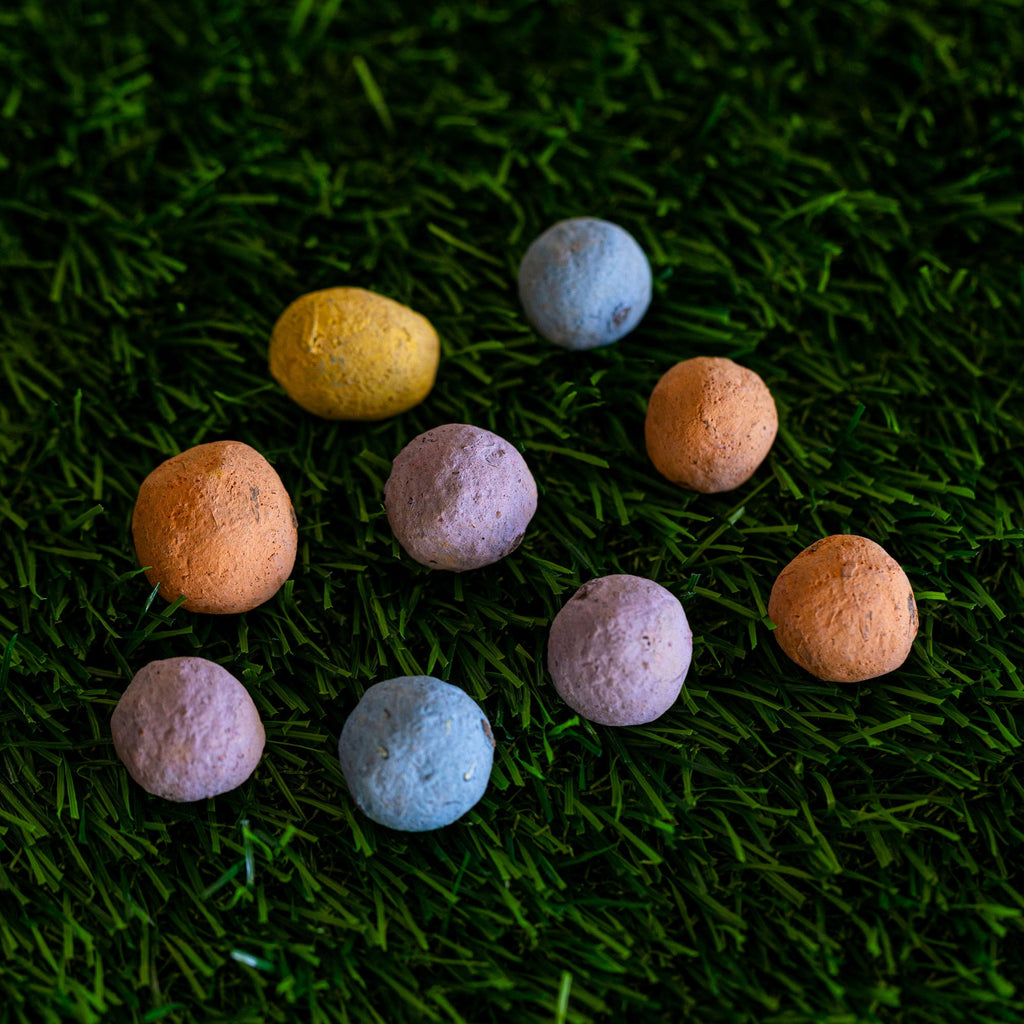 Drought-Tolerant Wildflower Garden Confetti Seed Balls