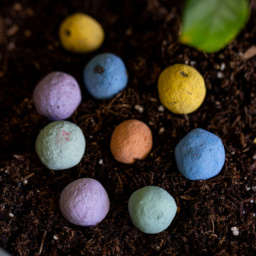 Drought-Tolerant Wildflower Garden Confetti Seed Balls