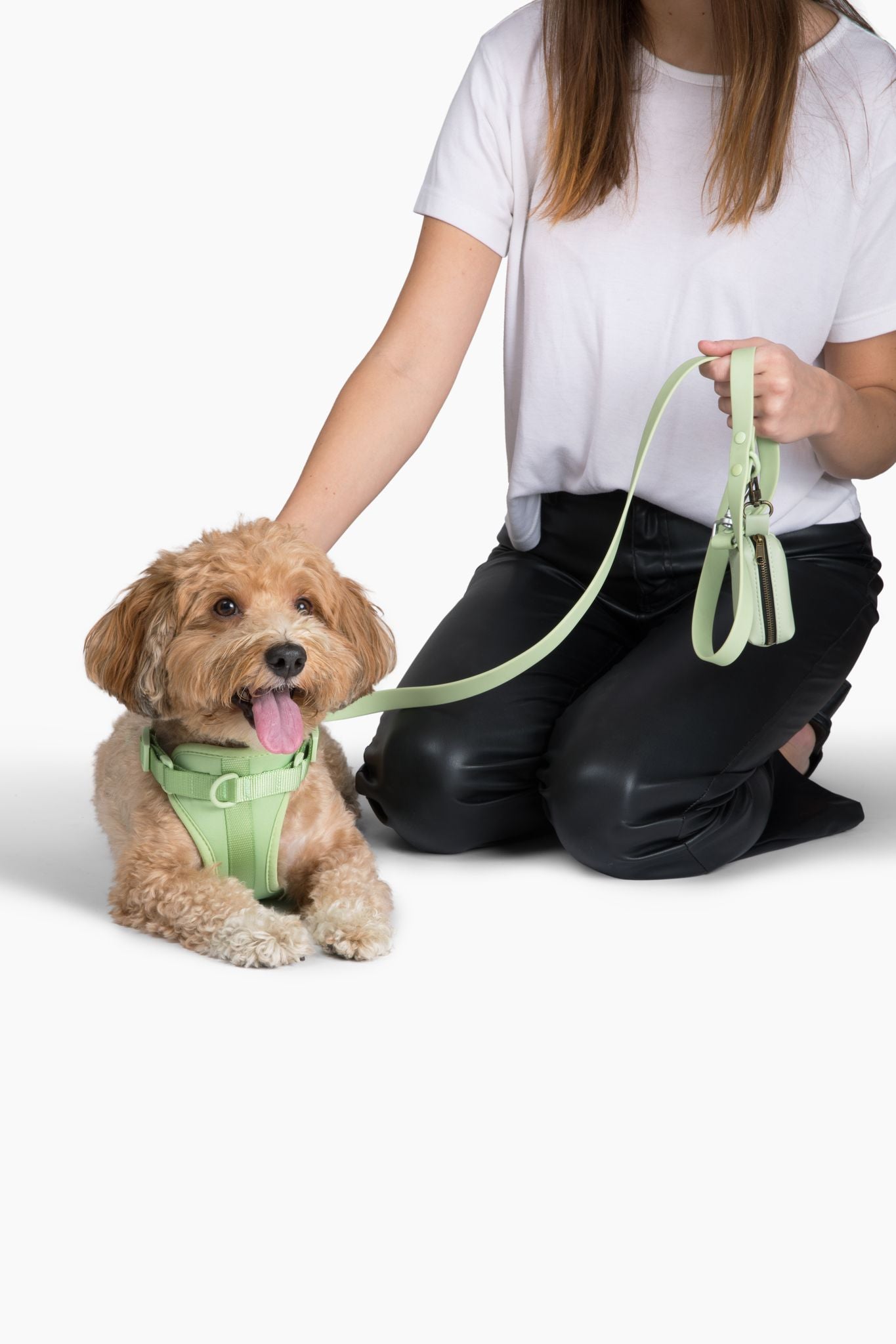Harness