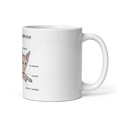 "ANATOMY OF A SPHYNX CAT" COFFEE MUG